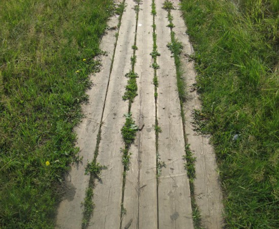 Тротуары 25