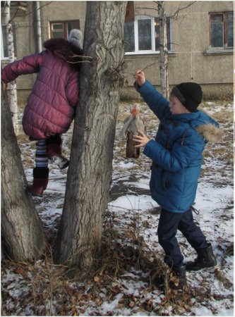 «КАФЕ ДЛЯ ПТИЦ»