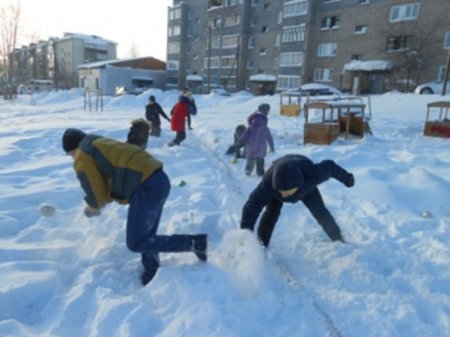 Волонтерские новогодние каникулы