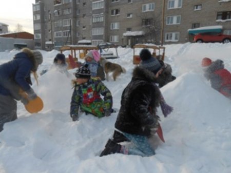 Волонтерские новогодние каникулы