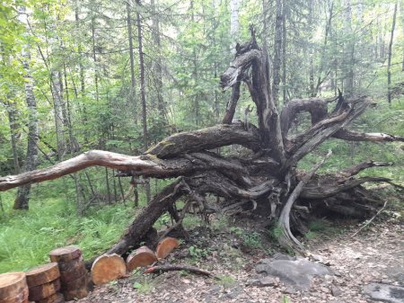 Туристический поход «Тропа Шамана»