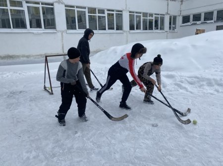 Хоккей с мячом