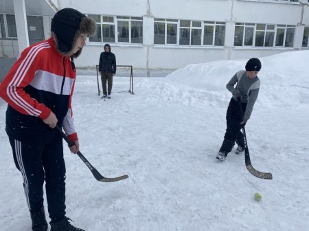 Хоккей с мячом