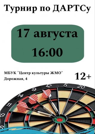 13.08.2024 - Турнир по ДАРТСу