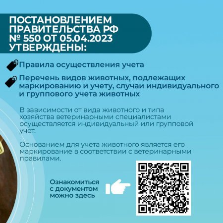 Обязательная маркировка и учет сельскохозяйственных животных