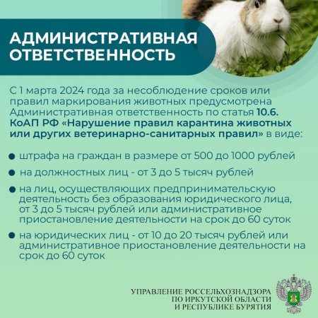 Обязательная маркировка и учет сельскохозяйственных животных