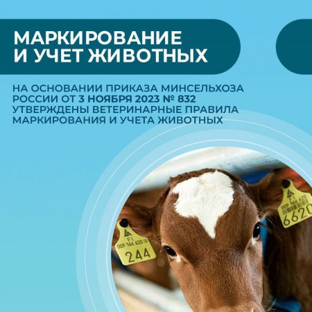 Обязательная маркировка и учет сельскохозяйственных животных