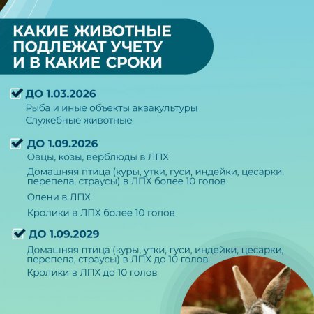 Обязательная маркировка и учет сельскохозяйственных животных