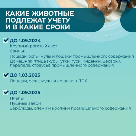 Обязательная маркировка и учет сельскохозяйственных животных