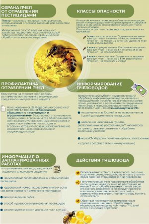 07.05.2025 - Памятки пчеловодам