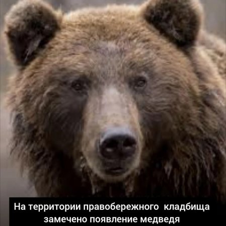 12.08.2026 - Просим  соблюдать повышенную осторожность! 